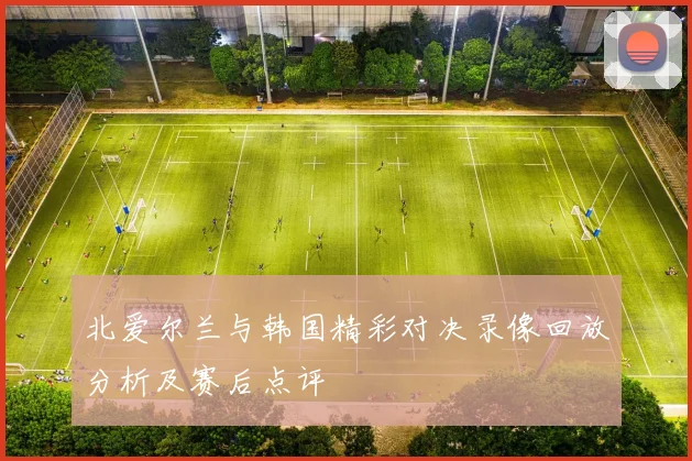 北爱尔兰与韩国精彩对决录像回放分析及赛后点评