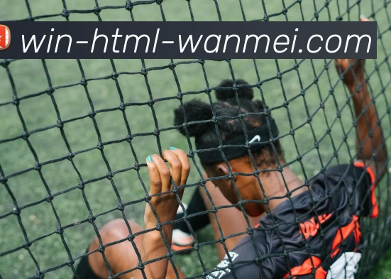 完美体育品牌故事